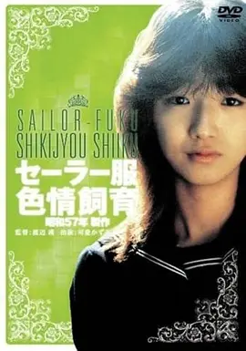 这个杀手不太冷 电影 1994 吕克·贝松